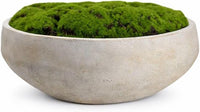 Hand-Painted Cement Moss Bowl – 12 inch Decorative Centrepiece - view 1