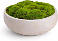 Hand-Painted Cement Moss Bowl – 12 inch Decorative Centrepiece - view 5