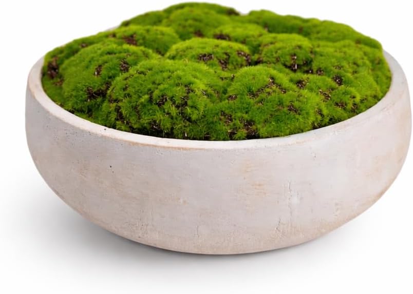 Hand-Painted Cement Moss Bowl – 12 inch Decorative Centrepiece - view 5