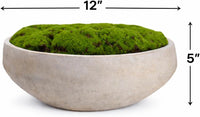 Hand-Painted Cement Moss Bowl – 12 inch Decorative Centrepiece - view 3