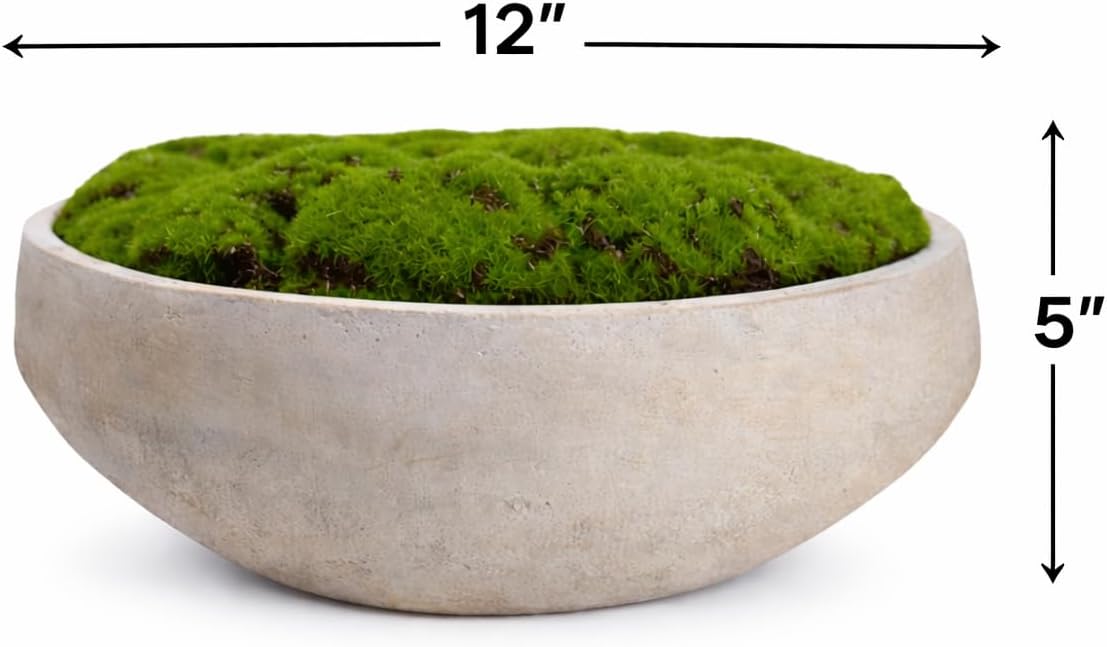 Hand-Painted Cement Moss Bowl – 12 inch Decorative Centrepiece - view 3